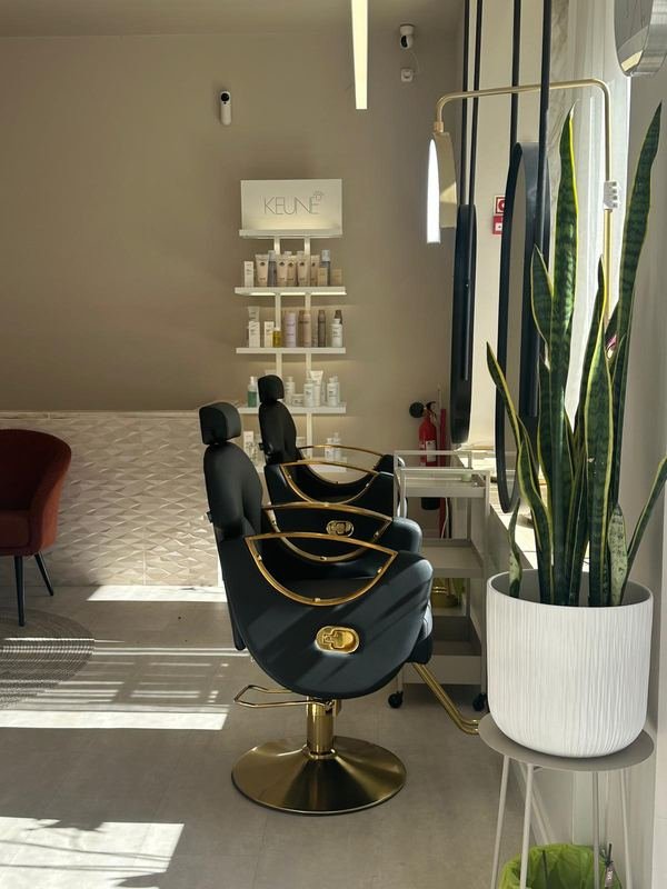 Cadeira de cabeleireiro em preto e dourado junto a uma planta alta, com estantes brancas de produtos em fundo.